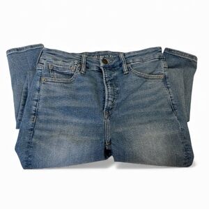 The LU(X)E American Eagle Denim Jeans